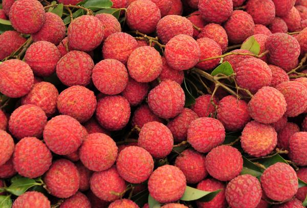 福建好吃又好看的水果