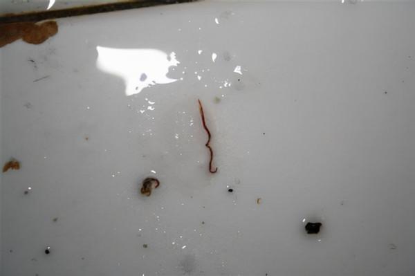 裝修時不聽勸,跟風買了這些家居用品,入住1年,使用次數不超5次 裝修時不聽勸,跟風買了這些家居用品,入住1年,使用次數不超5次