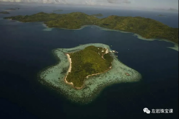 冬日提升氣質必備!南洋金珠到底是什麼來頭? 冬日提升氣質必備!南洋金珠到底是什麼來頭?