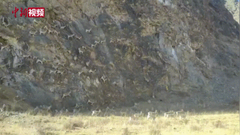這輩子一定要去趟這個公園 在這裡“有種愛叫放手” 這輩子一定要去趟這個公園 在這裡“有種愛叫放手”