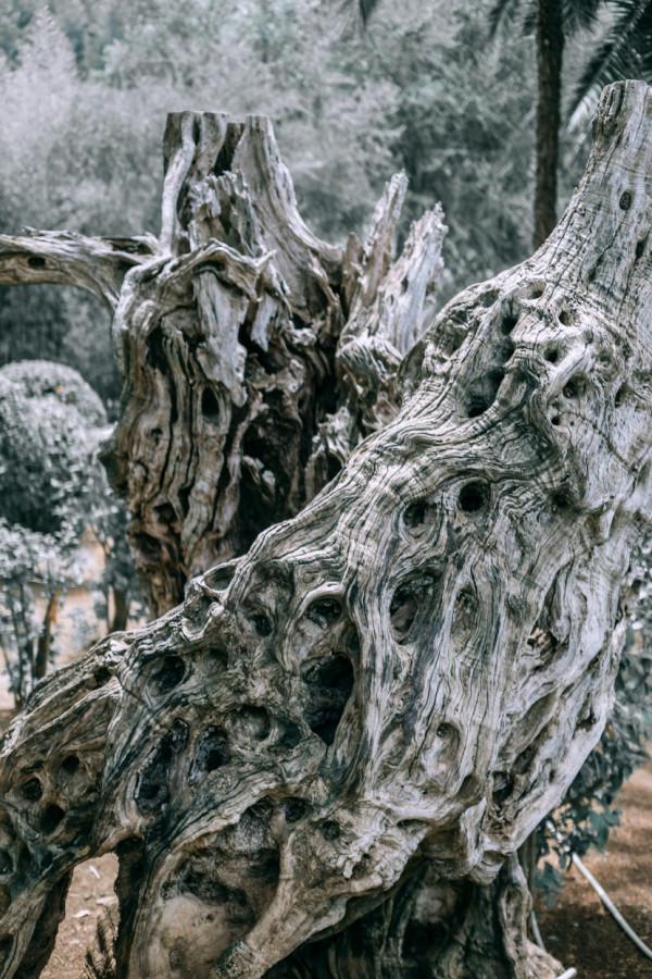 3天后，水瓶座喜歡佔別人小便宜，還自以為是的道德模範