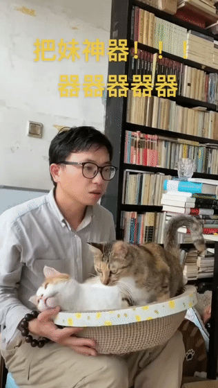 100只貓還在，這位狸奴書生卻永遠走了&hellip;&hellip;