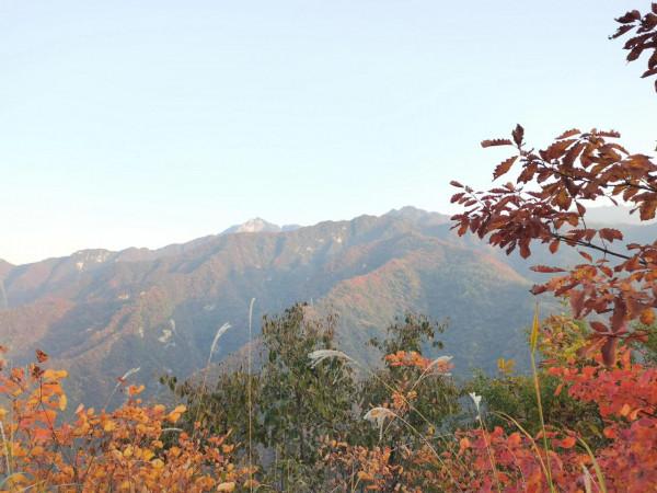 圭峰紅葉遍山,九小時歷程卻讓人驚心 圭峰紅葉遍山,九小時歷程卻讓人驚心