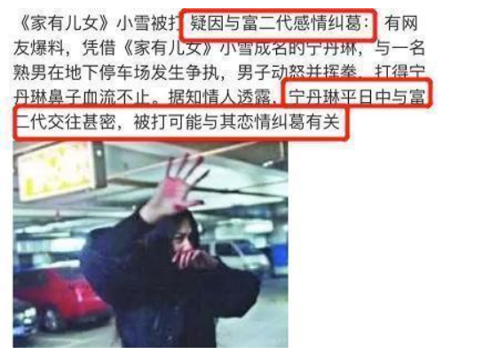 取代楊紫參演《家有兒女》，寧丹琳如何“自毀”前程的