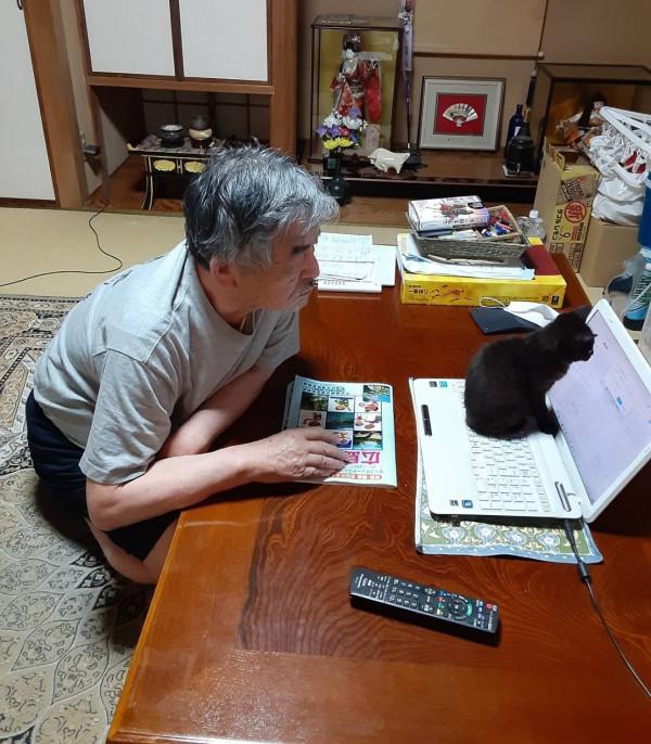 日本老爺爺救回一隻被烏鴉攻擊的小黑貓，擼貓半年人都變年輕了