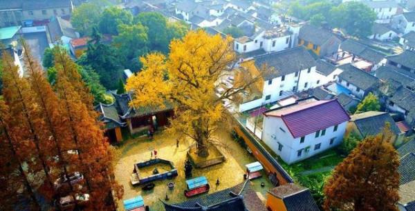 留住古鎮⑧ 留住古鎮⑧