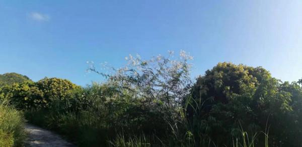 雲彩下的山城系列（四）