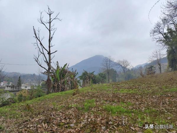 vivo X70 Pro&plus;拍照樣張賞析分享（第7期）