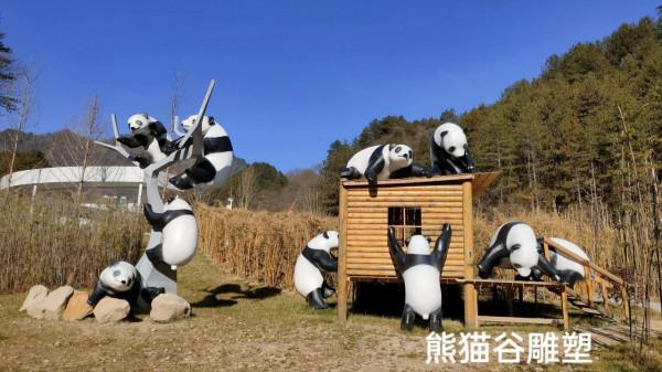 一生去過一次就足矣的古鎮——華陽古鎮