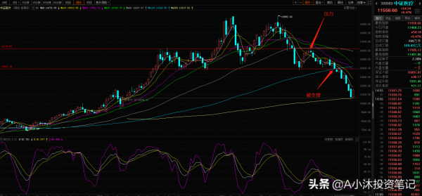 醫療本週大漲8&percnt;，白酒行情還未結束！重倉的朋友看過來