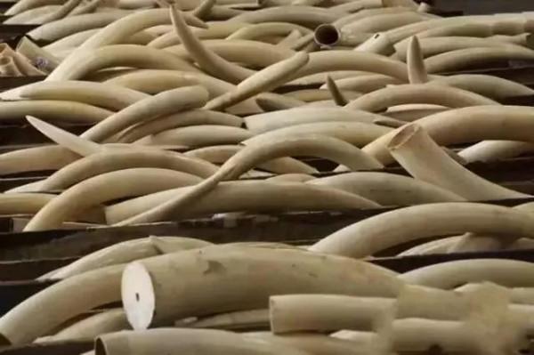 一張破涼蓆,竟然值兩千萬 一張破涼蓆,竟然值兩千萬