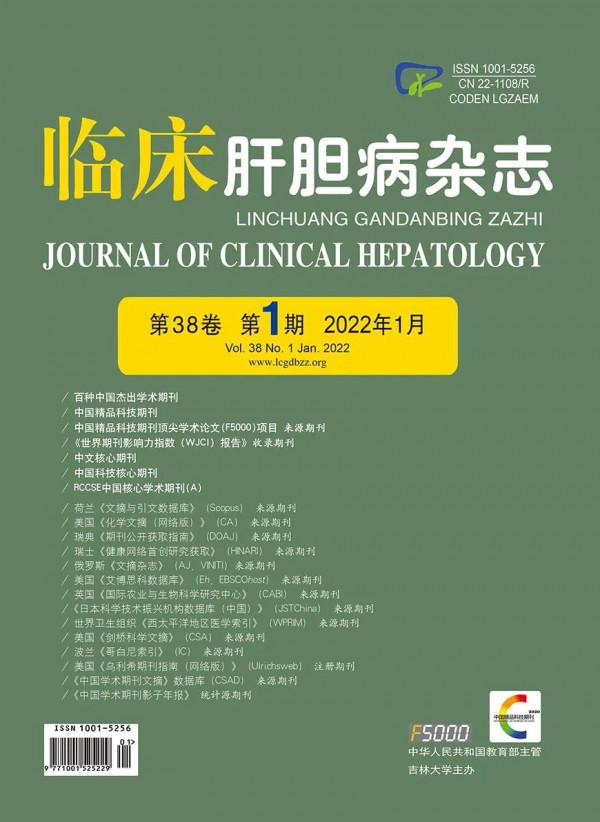 專家論壇｜劉景豐：深度學習在原發性肝癌相關診斷模型中的應用與前景