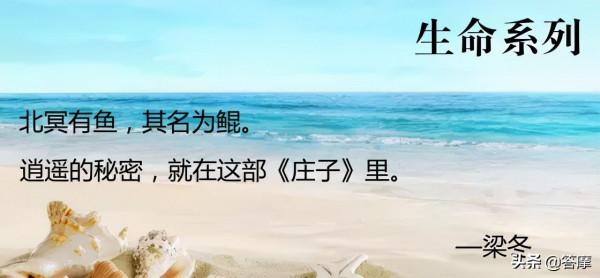 梁冬 | 每個中國人靈魂深處都有一個莊子 梁冬 | 每個中國人靈魂深處都有一個莊子