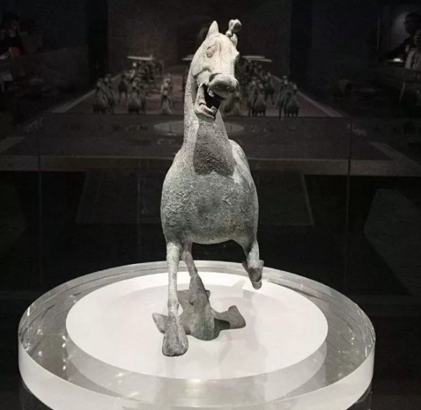 未解之謎：為什麼動物們不愛拍正臉？