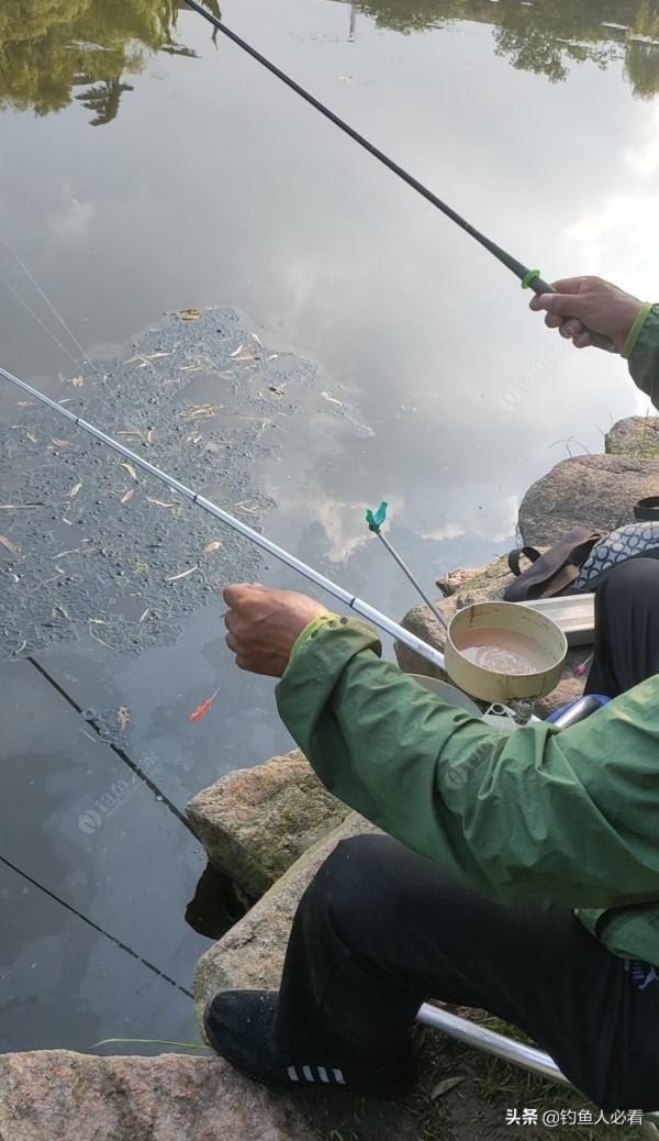 向高齡釣友請教的“搖三搖”釣法，毫無保留的分享給大家