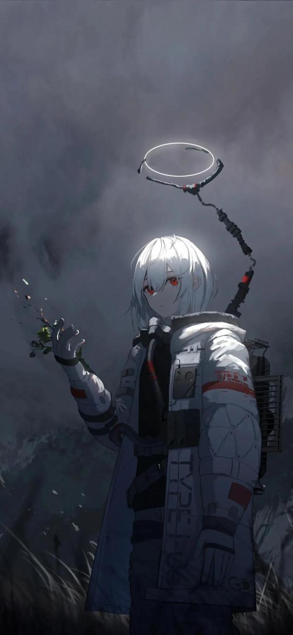 春節、美女、動漫、風景、貓全面屏手機桌布