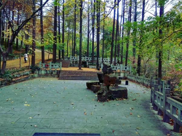 遊東庵森林公園