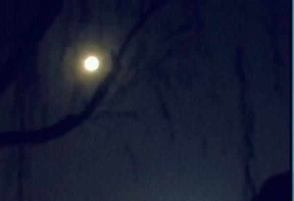 後人把酒問祖先,今晚握餅賞明月:中秋之夜話中秋 後人把酒問祖先,今晚握餅賞明月:中秋之夜話中秋