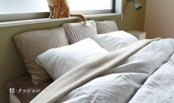 日式裝修風格的一人居，溫暖的光線，清新的綠植，生活詩意