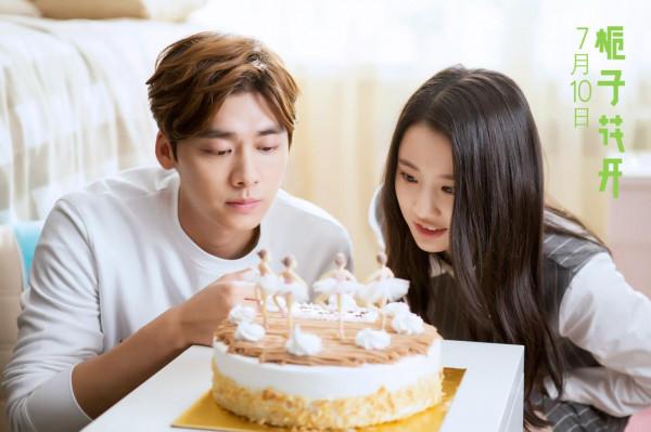 明明是爛片，票房卻破10億的五部電影，你被“割韭菜”了嗎？