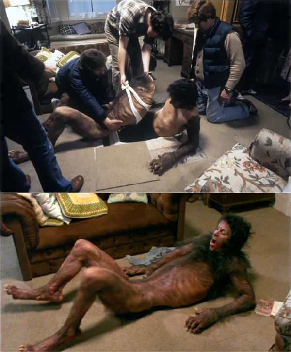 27部大片幕後真相照:原來我們被騙了好多年 27部大片幕後真相照:原來我們被騙了好多年