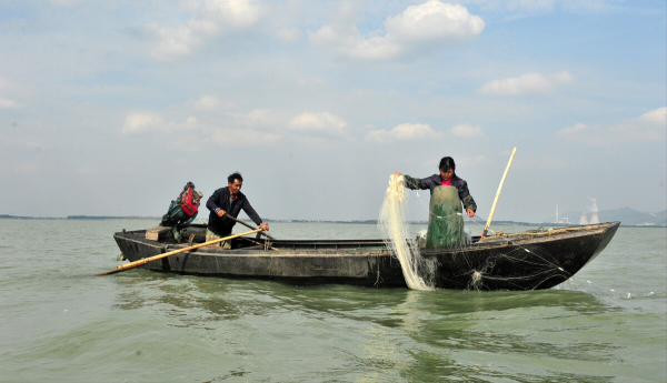 巢湖的隱患:“長江魚庫”散財70年,淤泥引發“營養危機”? 巢湖的隱患:“長江魚庫”散財70年,淤泥引發“營養危機”?