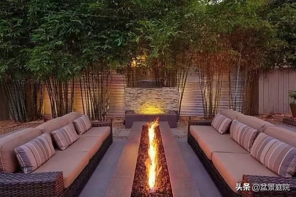 家有竹園，這才是極具風雅之事