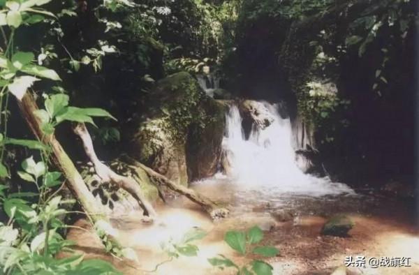 深山哨所戰士，手榴彈炸魚招呼學生連，味道鮮美一生難忘