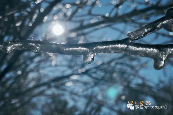 原來江南也有如此夢幻霧凇 原來江南也有如此夢幻霧凇