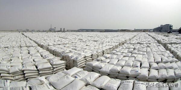 中秋節尿素大漲價!複合肥、磷銨、鉀肥一噸多少錢了 中秋節尿素大漲價!複合肥、磷銨、鉀肥一噸多少錢了