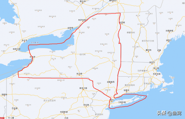 紐約州州魚國內傳是太陽魚，老外還說不是紅點鮭，到底怎麼回事？