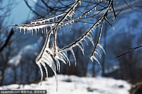 冬至丨你追光了嗎？北京一大波精彩“壓軸”文化盛宴來襲~