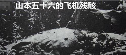 山本五十六是誰擊斃的 山本五十六是誰擊斃的