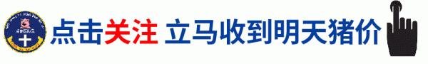 好獸醫動保 | 明天(9月21日)全國最新豬價!豬價有變,穩中伴跌 好獸醫動保 | 明天(9月21日)全國最新豬價!豬價有變,穩中伴跌