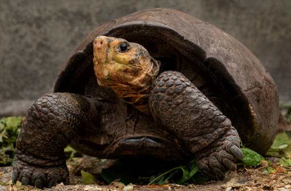 盤點：2021年科學領域“故事匯”