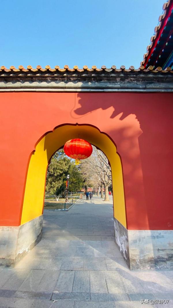 正月裡賞花過大年 正月裡賞花過大年