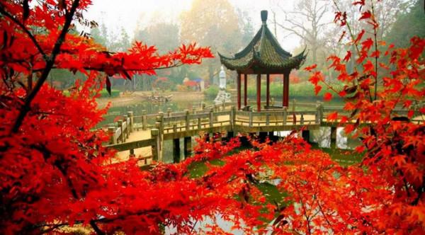 醉美中國，在秋天