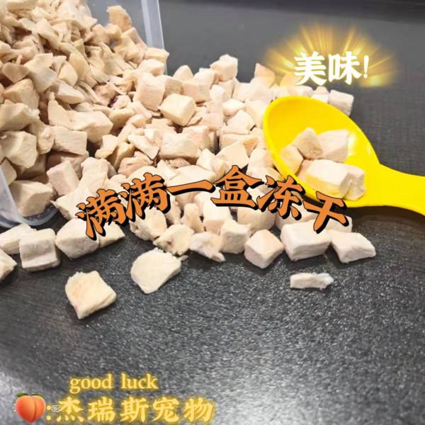 公司小貓太粘人了！招架不住啊