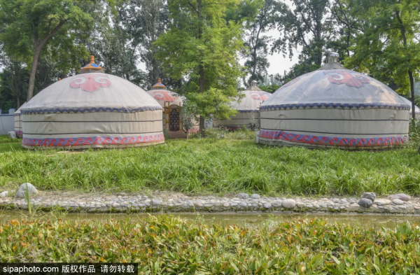 免門票！森林公園裡藏著個“小內蒙古”，還免費停車~