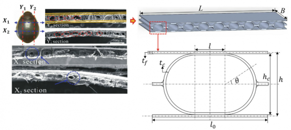 華中科技大學：新型3D列印仿生波紋夾層結構三點彎試驗及失效分析