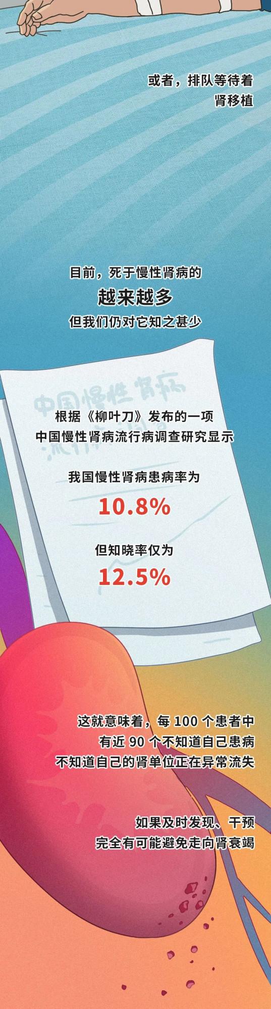 漫畫科普：來看這個器官是怎麼幹活兒的