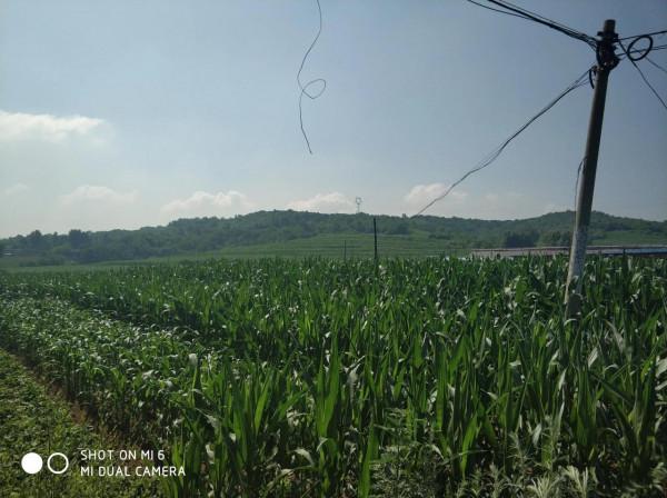 難忘的故鄉,在那裡有我說不完的故事 難忘的故鄉,在那裡有我說不完的故事