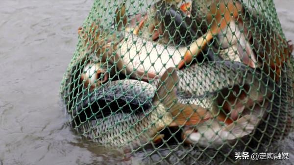 假期歡樂多 鄉村垂釣樂 假期歡樂多 鄉村垂釣樂