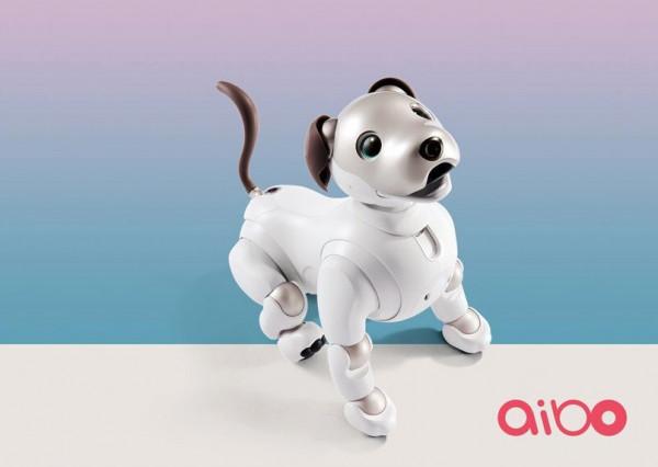 情感工業產品&mdash;&mdash;小狗嬰兒機器人，陪伴是最長情的告白