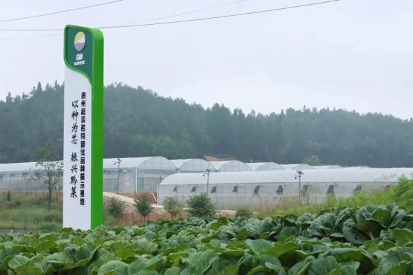 繽紛花海，果蔬採摘，房車露營......中秋出遊就來羊昌！