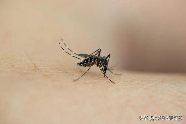 能消毒、能殺菌、能止癢?“口水”這麼能幹嗎? 能消毒、能殺菌、能止癢?“口水”這麼能幹嗎?
