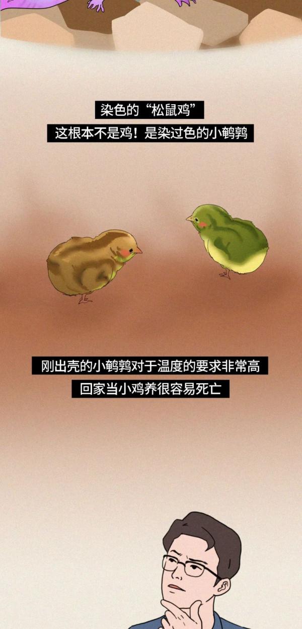 人類自以為的美麗，正在殺死我