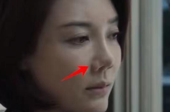 內娛“假鼻子”大PK，誰的假到逆天，誰的越整越殘？