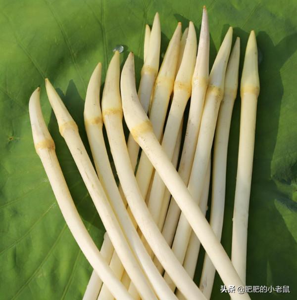 3種對身體非常好且營養護膚的食物，去油膩減肥助消化