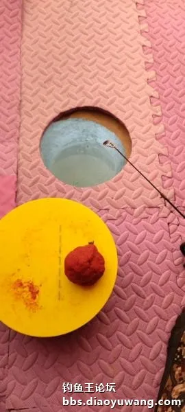 新年，首發冰釣